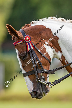 The Al Shira'aa Hickstead Derby Meeting