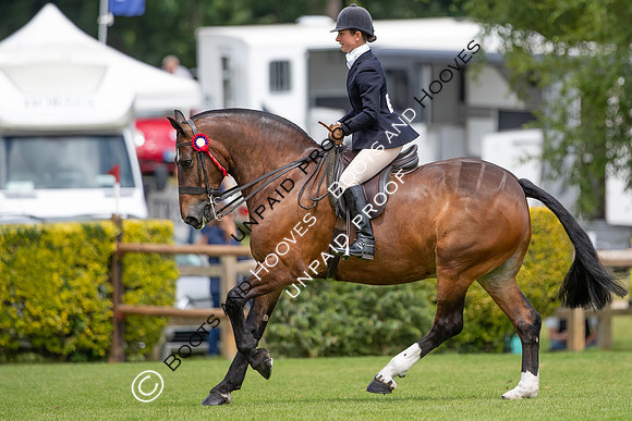The Al Shira'aa Hickstead Derby Meeting