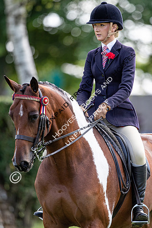 The Al Shira'aa Hickstead Derby Meeting