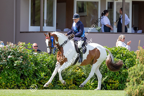 The Al Shira'aa Hickstead Derby Meeting
