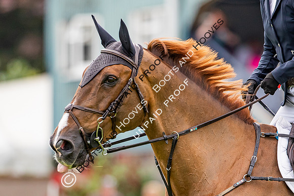 The Al Shira'aa Hickstead Derby Meeting
