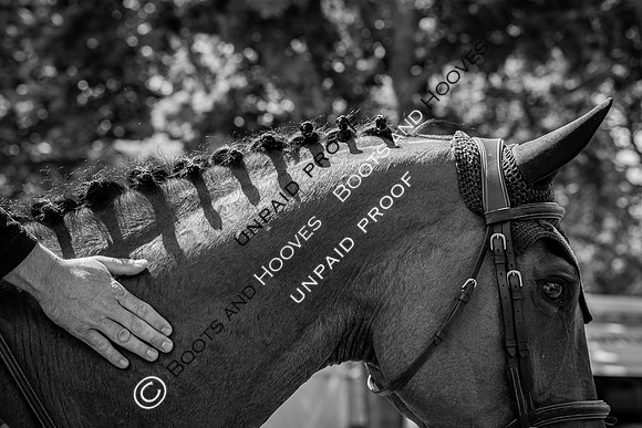 The Al Shira'aa Hickstead Derby Meeting