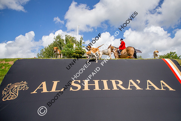 The Al Shira'aa Hickstead Derby Meeting