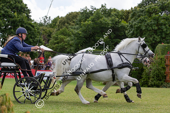 The Al Shira'aa Hickstead Derby Meeting