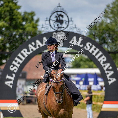 The Al Shira'aa Hickstead Derby Meeting