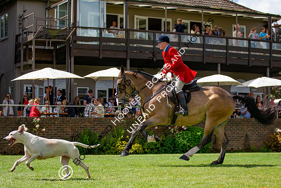 The Al Shira'aa Hickstead Derby Meeting