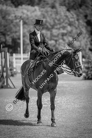 The Al Shira'aa Hickstead Derby Meeting