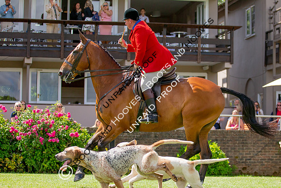 The Al Shira'aa Hickstead Derby Meeting