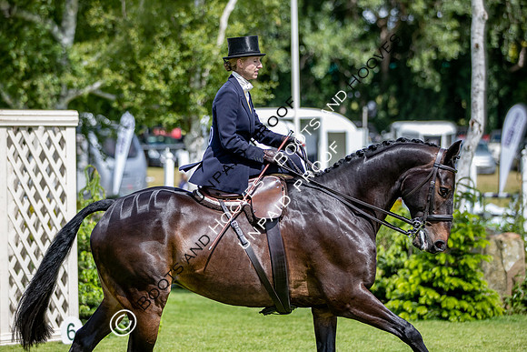 The Al Shira'aa Hickstead Derby Meeting