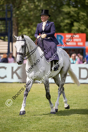 The Al Shira'aa Hickstead Derby Meeting