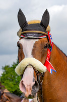 The Al Shira'aa Hickstead Derby Meeting