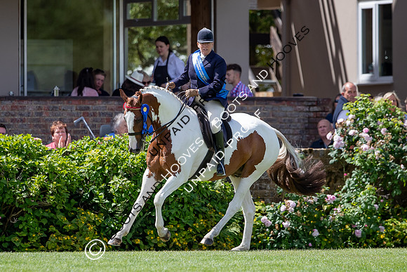 The Al Shira'aa Hickstead Derby Meeting