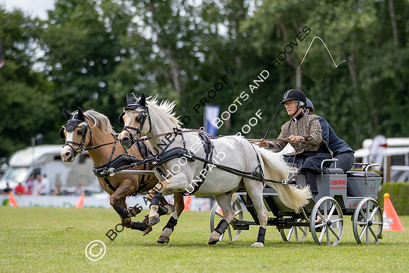 The Al Shira'aa Hickstead Derby Meeting