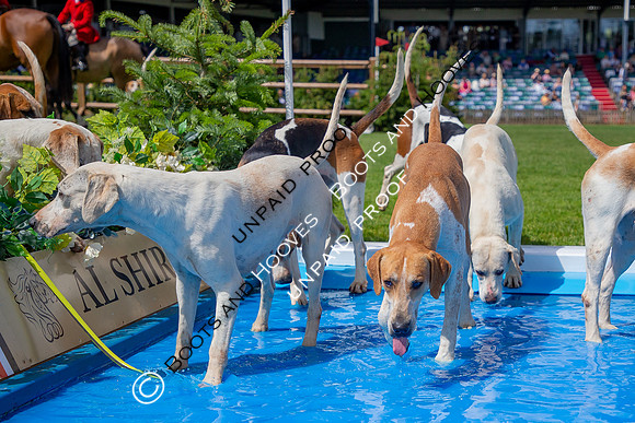 The Al Shira'aa Hickstead Derby Meeting