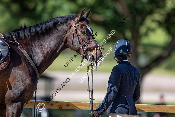 The Al Shira'aa Hickstead Derby Meeting