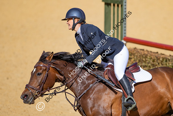 The Al Shira'aa Hickstead Derby Meeting