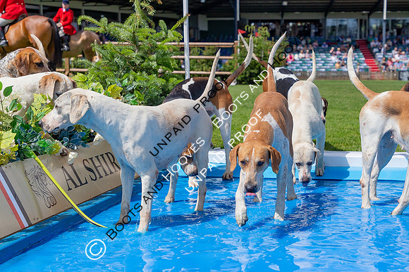 The Al Shira'aa Hickstead Derby Meeting