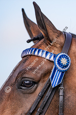 The Al Shira'aa Hickstead Derby Meeting