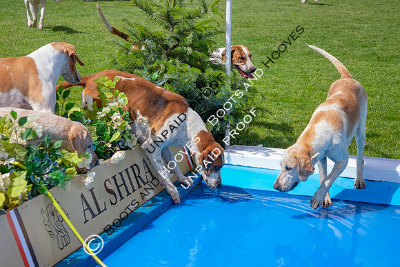 The Al Shira'aa Hickstead Derby Meeting