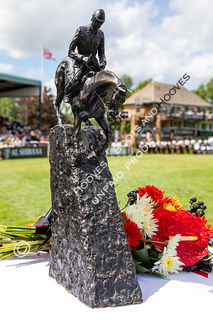 The Al Shira'aa Hickstead Derby Meeting