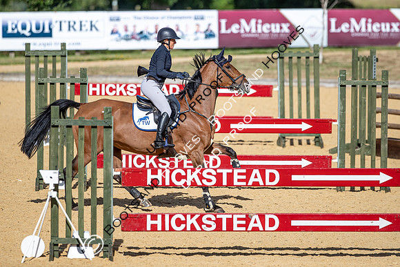 The Al Shira'aa Hickstead Derby Meeting