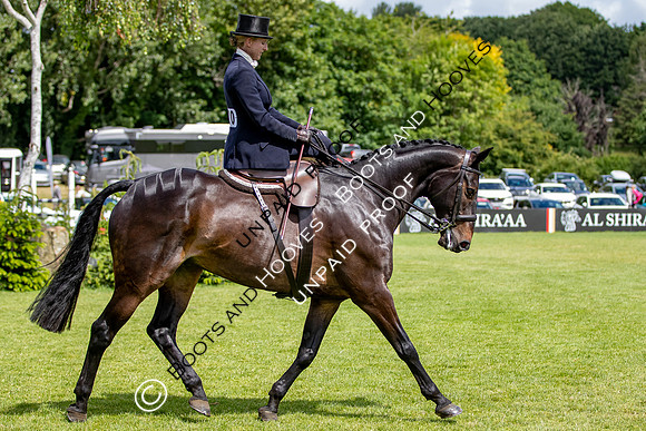 The Al Shira'aa Hickstead Derby Meeting