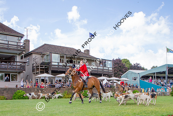 The Al Shira'aa Hickstead Derby Meeting