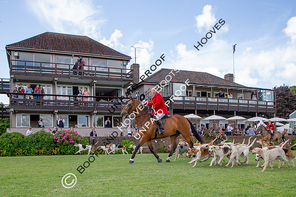 The Al Shira'aa Hickstead Derby Meeting