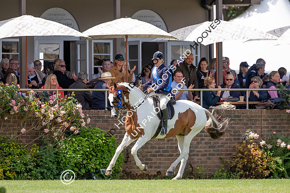 The Al Shira'aa Hickstead Derby Meeting