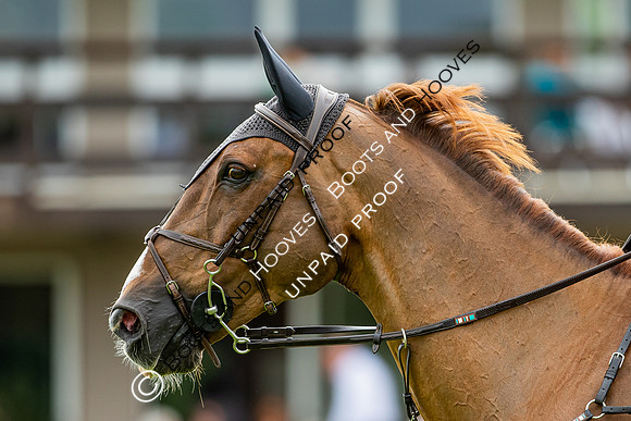 The Al Shira'aa Hickstead Derby Meeting