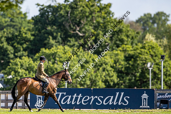 The Al Shira'aa Hickstead Derby Meeting