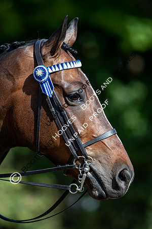 The Al Shira'aa Hickstead Derby Meeting