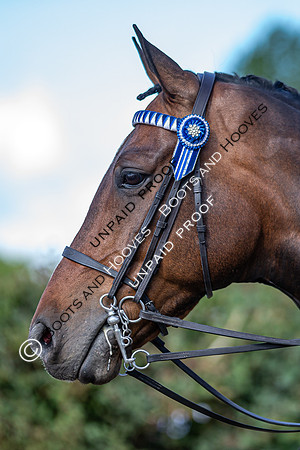 The Al Shira'aa Hickstead Derby Meeting