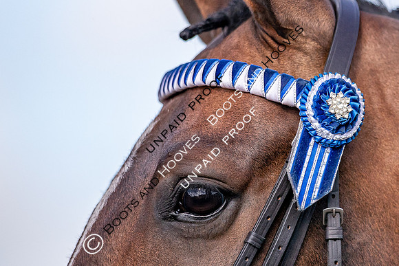 The Al Shira'aa Hickstead Derby Meeting