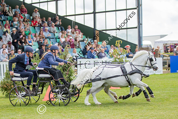 The Al Shira'aa Hickstead Derby Meeting