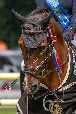 The Al Shira'aa Hickstead Derby Meeting