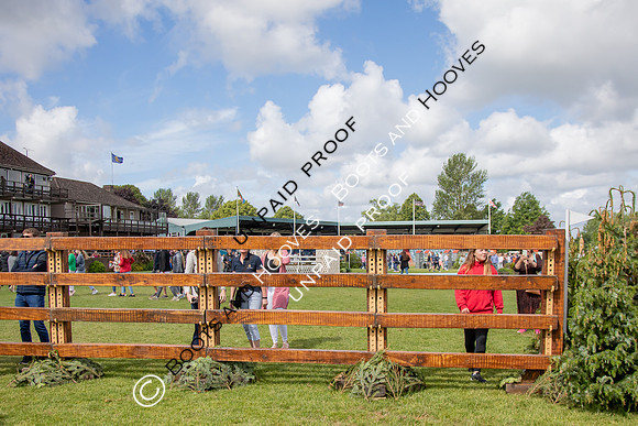 The Al Shira'aa Hickstead Derby Meeting