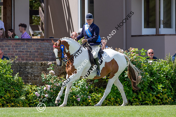 The Al Shira'aa Hickstead Derby Meeting