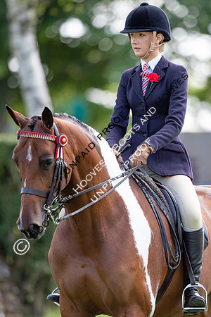 The Al Shira'aa Hickstead Derby Meeting