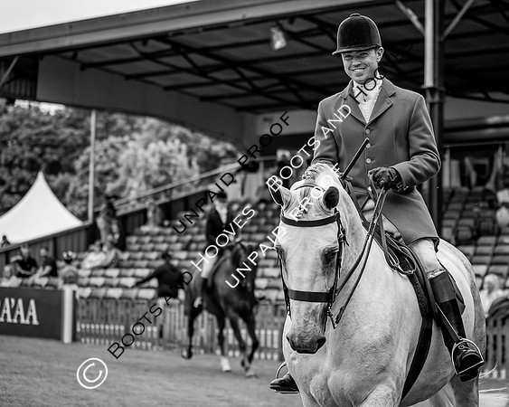 The Al Shira'aa Hickstead Derby Meeting