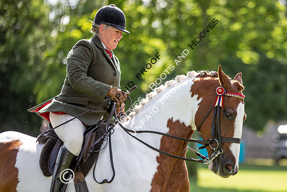 The Al Shira'aa Hickstead Derby Meeting