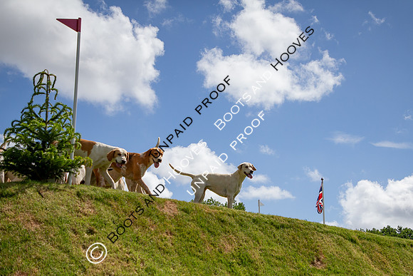 The Al Shira'aa Hickstead Derby Meeting