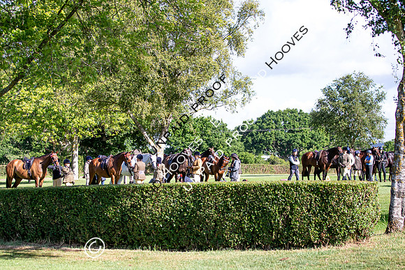 The Al Shira'aa Hickstead Derby Meeting