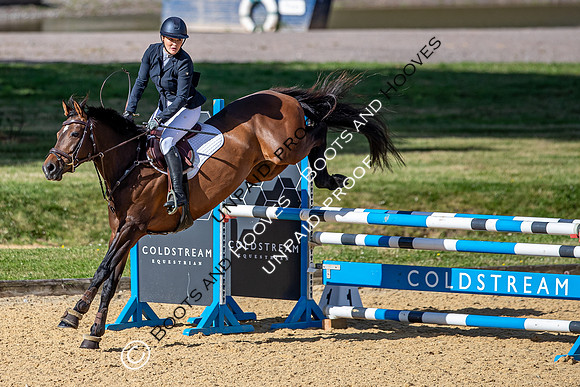 The Al Shira'aa Hickstead Derby Meeting