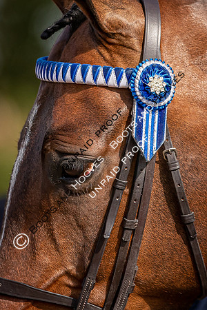 The Al Shira'aa Hickstead Derby Meeting