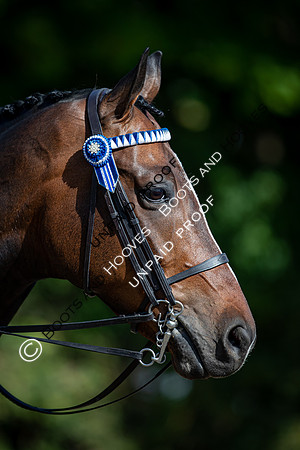The Al Shira'aa Hickstead Derby Meeting