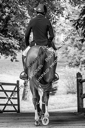 The Al Shira'aa Hickstead Derby Meeting