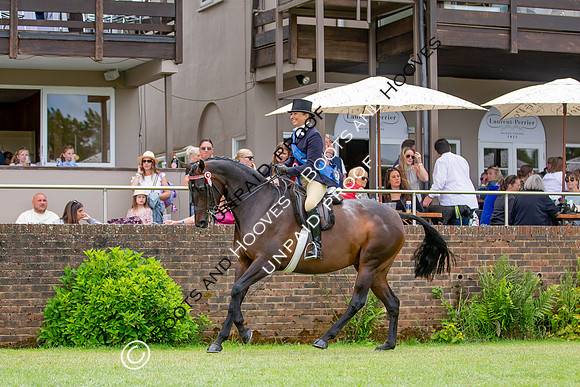 The Al Shira'aa Hickstead Derby Meeting