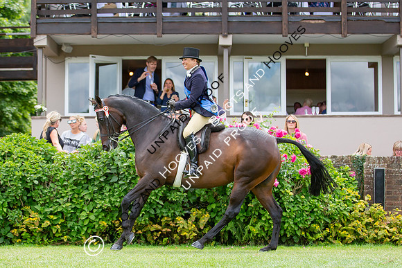 The Al Shira'aa Hickstead Derby Meeting