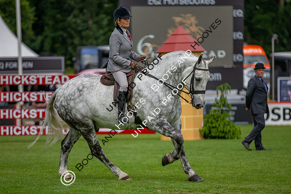 The Al Shira'aa Hickstead Derby Meeting